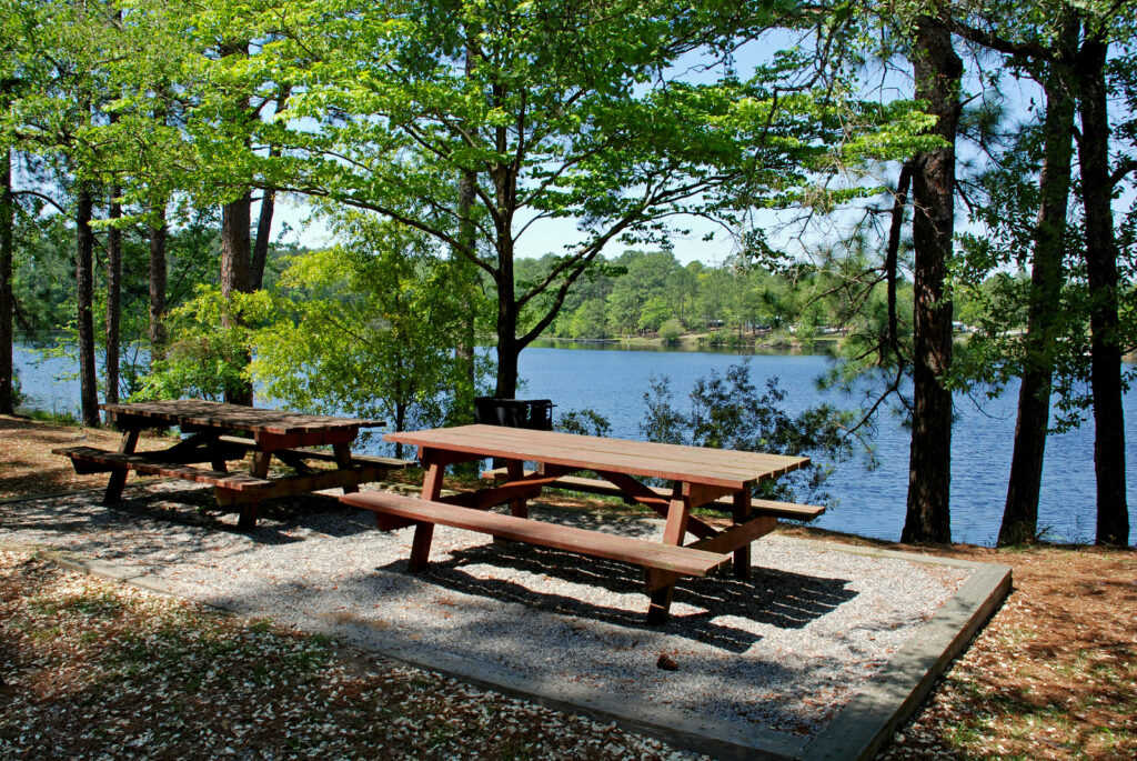 Jack Hill State Park Photo Courtesy of Georgia State Parks and HIstoric Sites