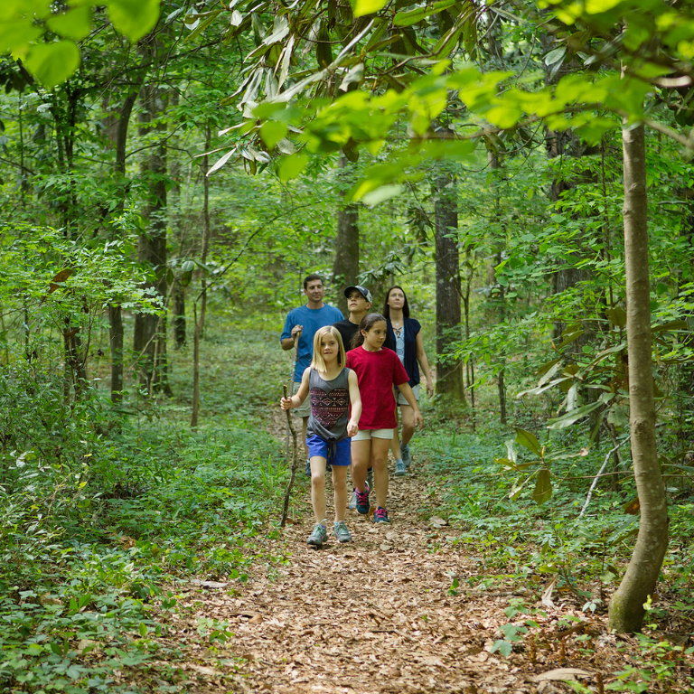 A family hiking at Kolomoki Mounds