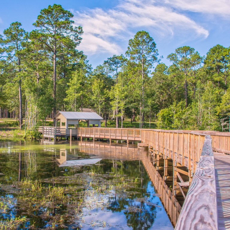 Laura S Walker boardwalk