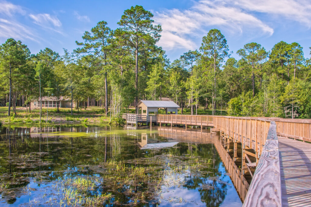 Laura S. Walker State Park Photo Courtesy of Georgia State Parks and Historic Sites