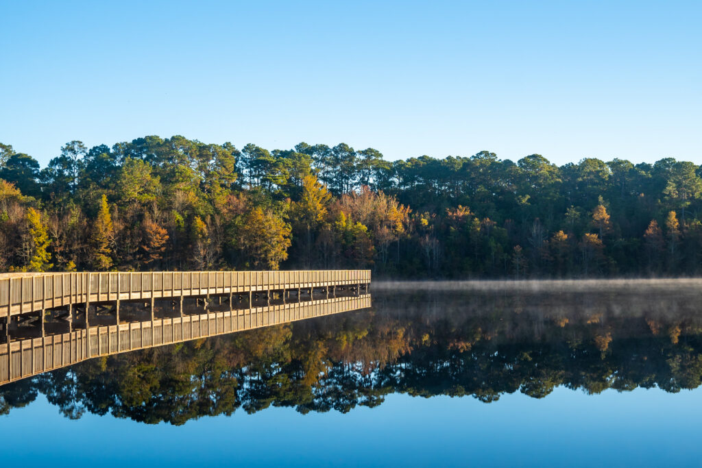 Laura S. Walker State Park Photo Courtesy of Georgia State Parks and Historic Sites