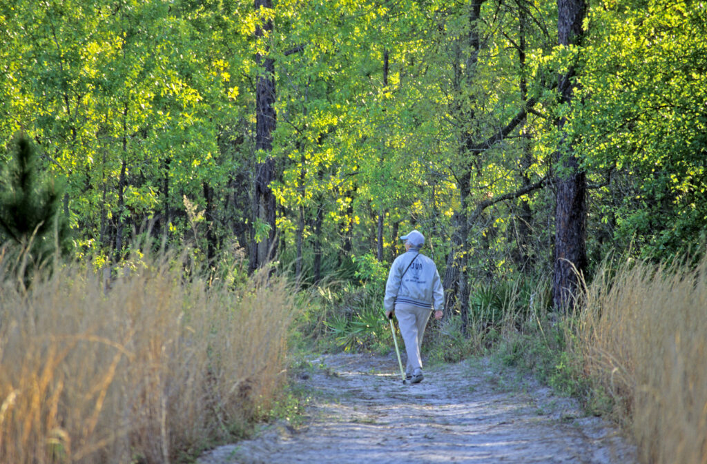 Laura S. Walker State Park Photo Courtesy of Georgia State Parks and Historic Sites