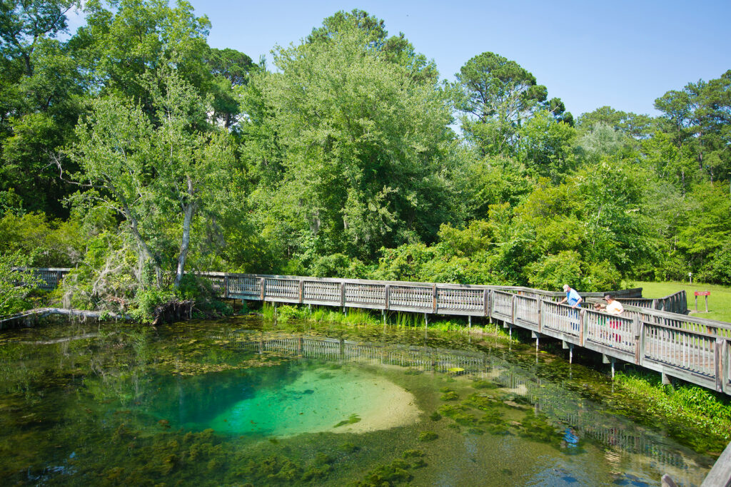 Magnolia Springs State Park Photo Courtesy of Georgia State Parks and Historic Sites
