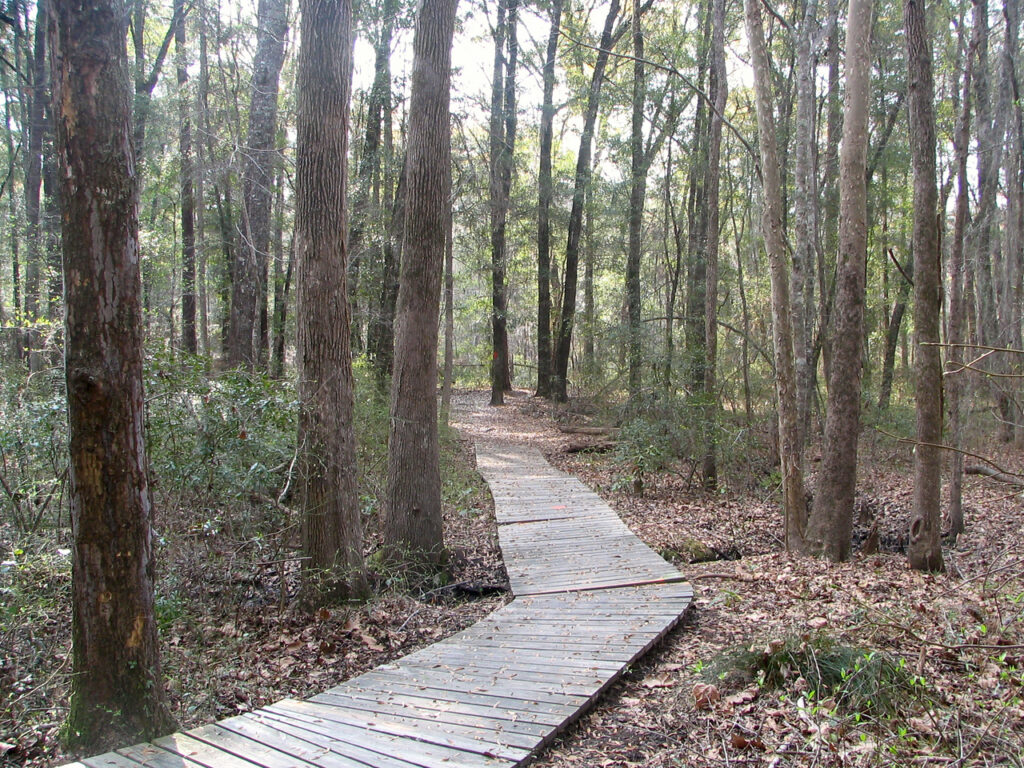 Magnolia Springs State Park Photo Courtesy of Georgia State Parks and Historic Sites