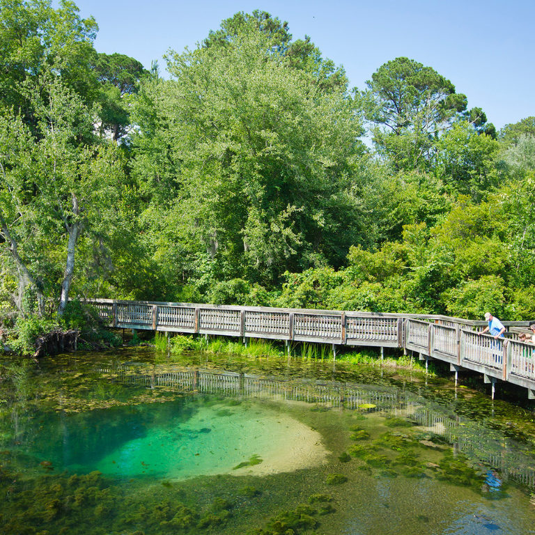 a spring and a boardwalk at Magnolia Springs