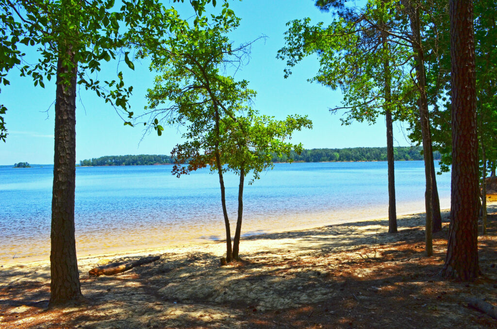 Mistletoe State Park Photo Courtesy of Georgia State Parks and Historic Sites