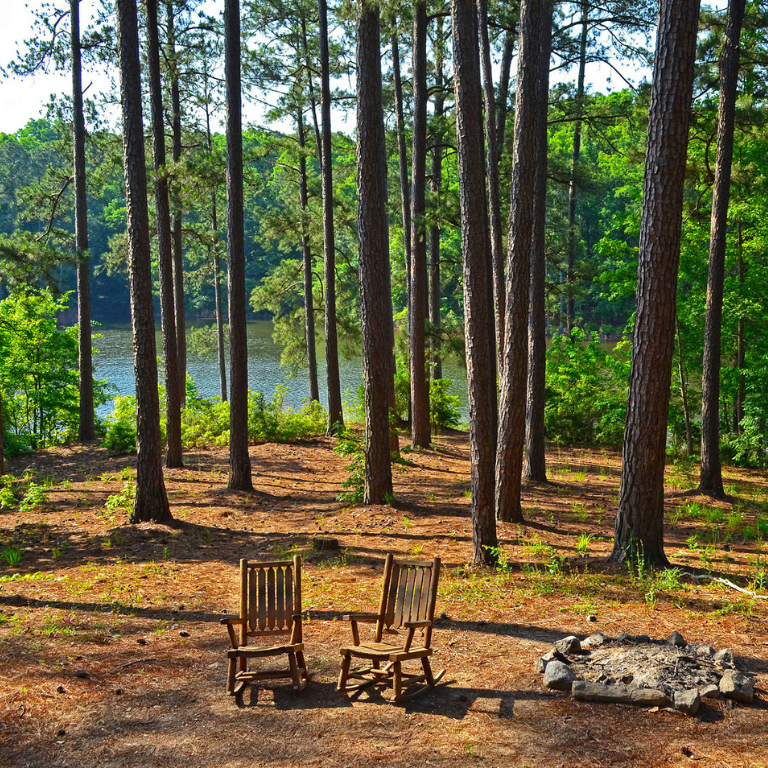 Camping at Mistletoe looking over lake in pine forest