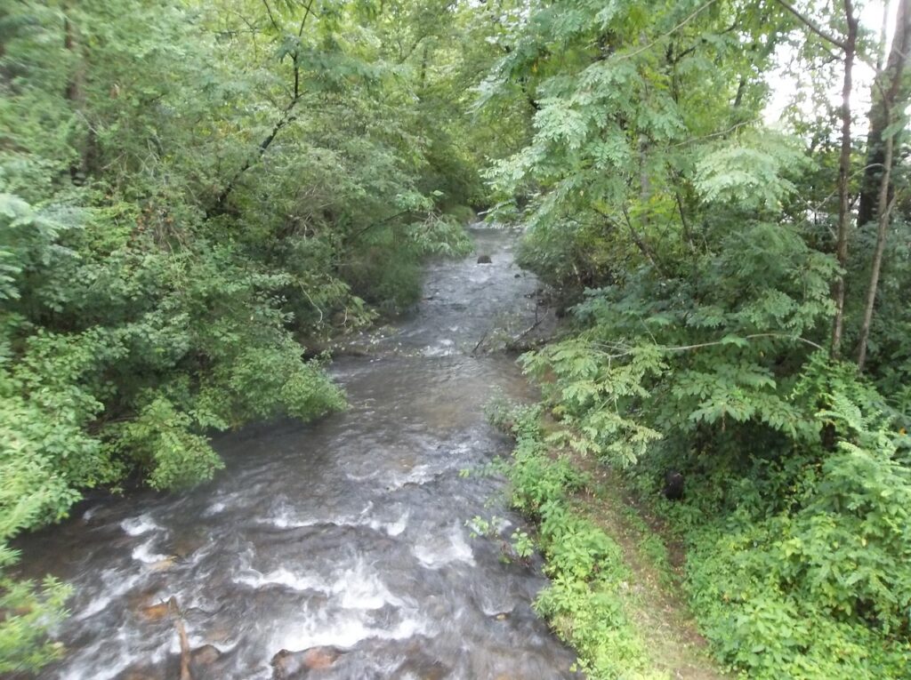 Moccasin Creek State Park Photo Courtesy of Georgia State Parks and Historic Sites