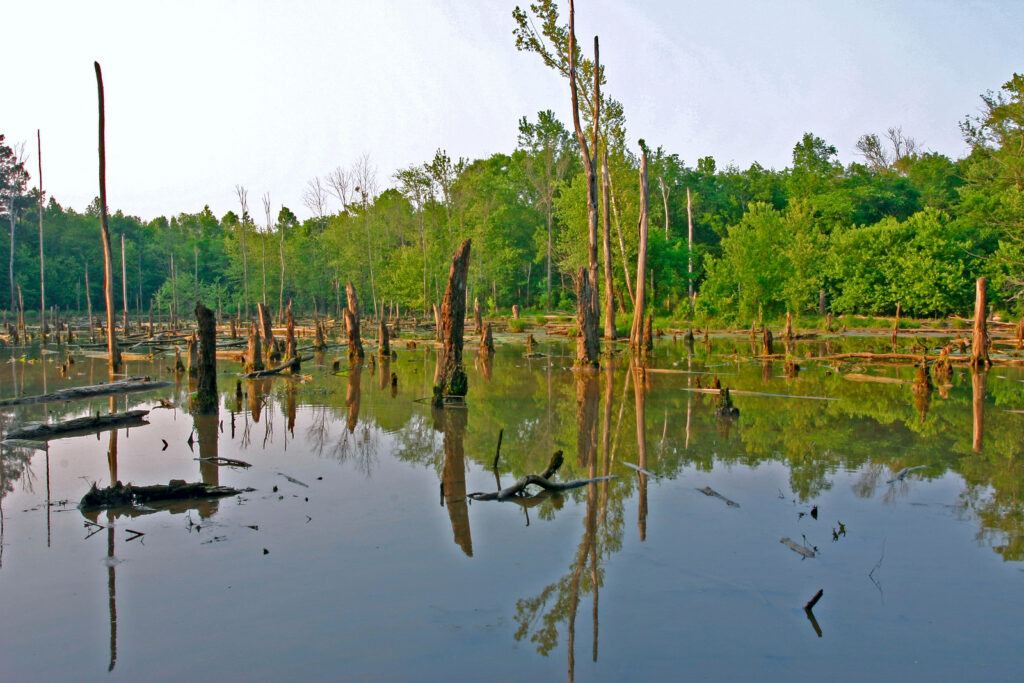 New Echota State Historic Site © Photo Courtesy of Georgia State Parks and Historic Sites