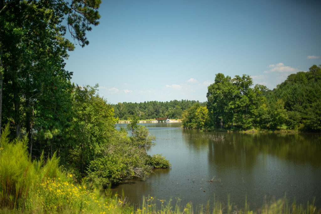 Panola Mountain State Park Photo Courtesy of Georgia State Parks and Historic Sites
