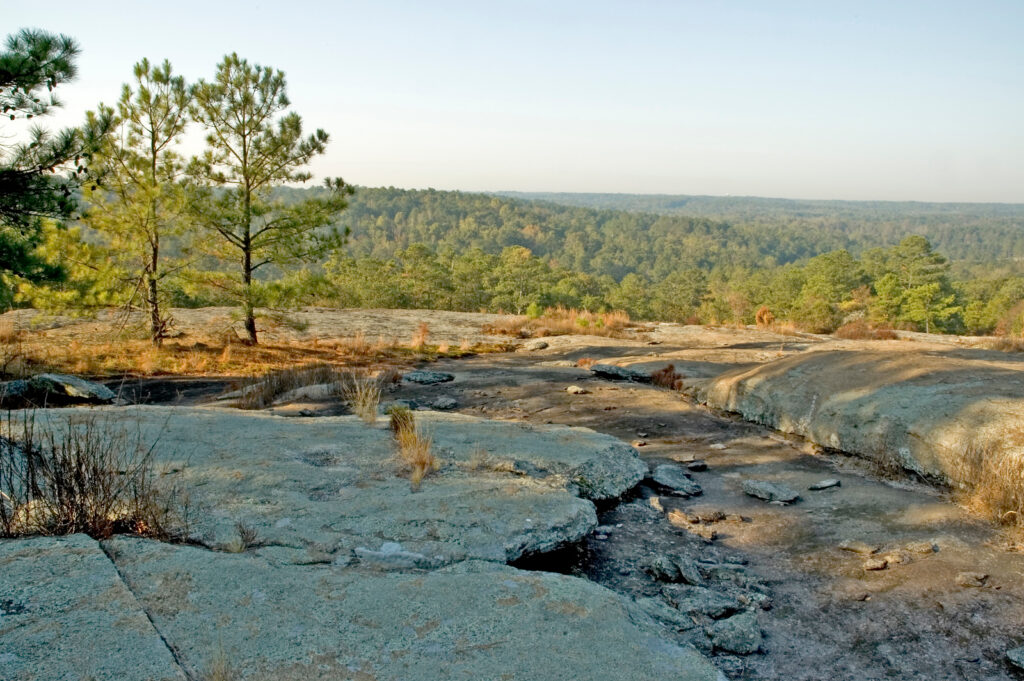 Panola Mountain State Park Photo Courtesy of Georgia State Parks and Historic Sites