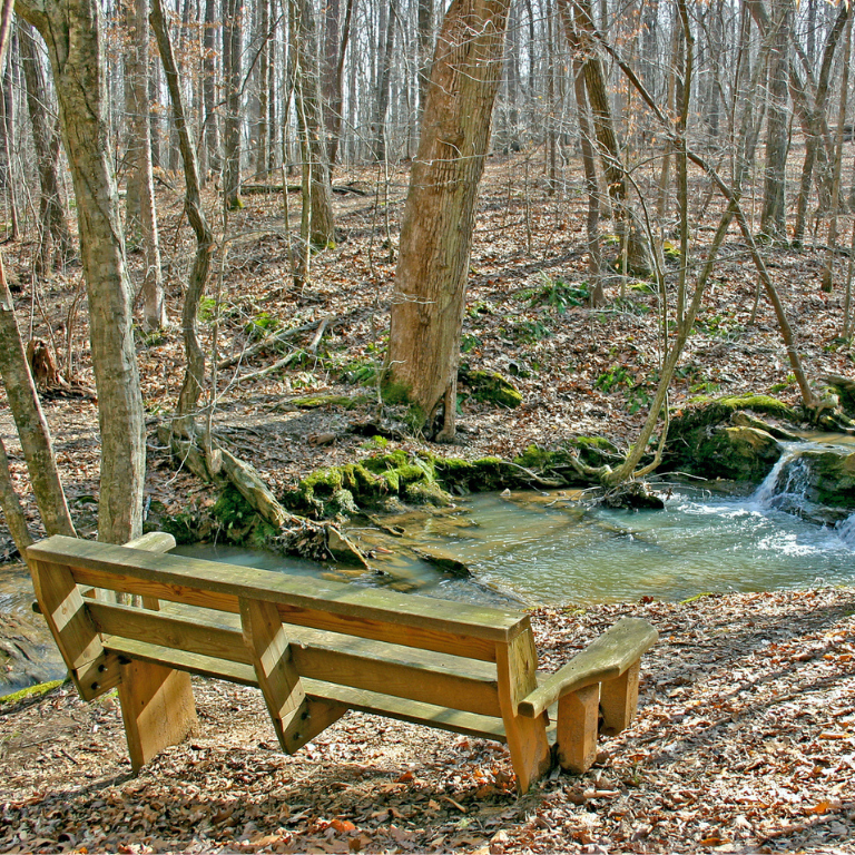 A bench near a creek at Pickett's Mill