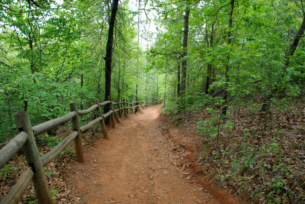 Providence Canyon State Park Photo Courtesy of Georgia State Parks and Historic Sites