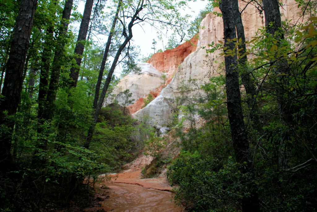 Providence Canyon State Park Photo Courtesy of Georgia State Parks and Historic Sites