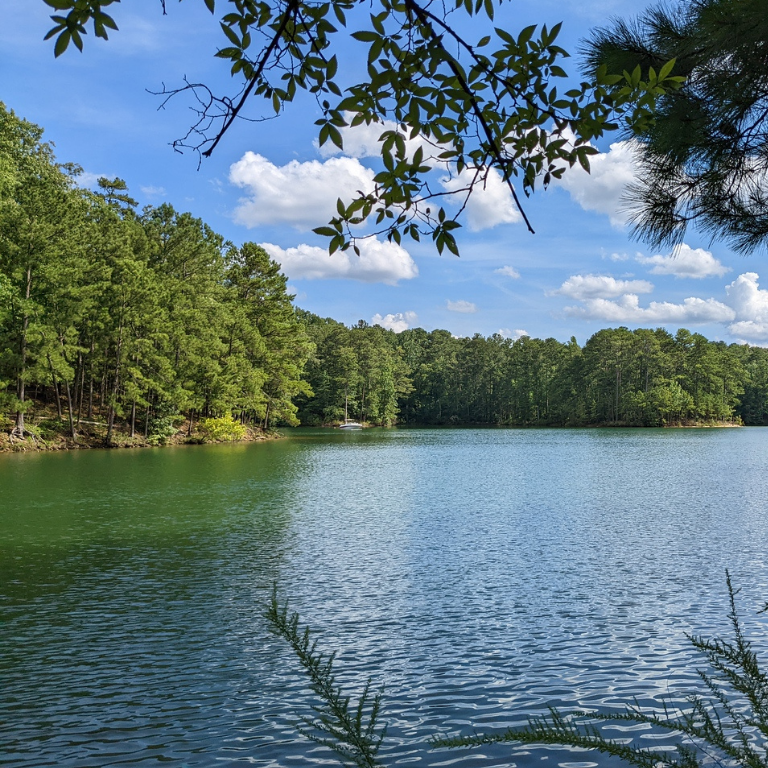 Red Top Mountain scenic lake