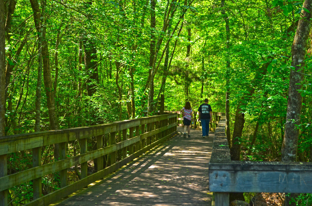 Reed Bingham State Park Photo Courtesy of Georgia State Parks and Historic Sites