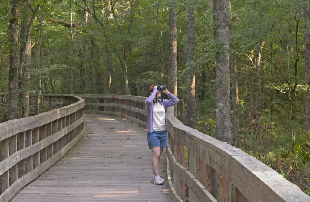 Reed Bingham State Park Photo Courtesy of Georgia State Parks and Historic Sites