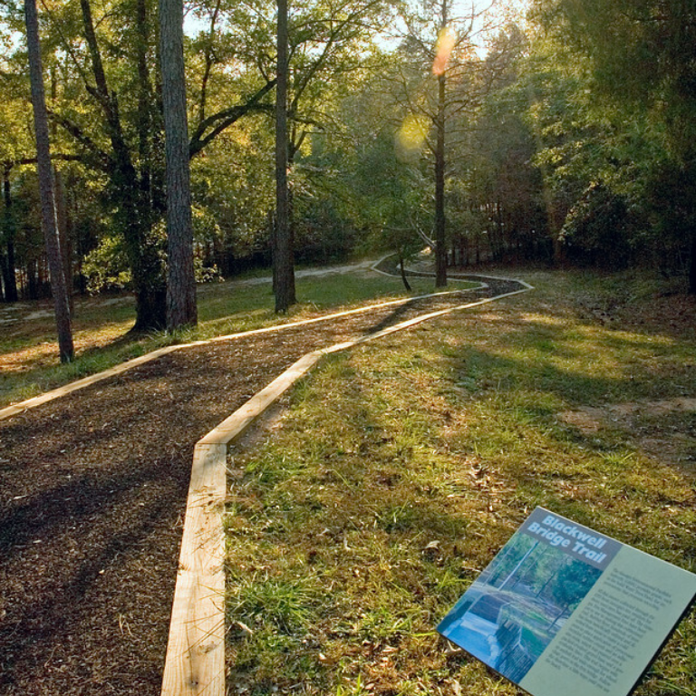 a trail through the forest at Richard B Russell