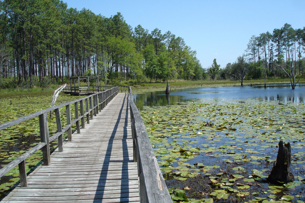 Seminole State Park Photo Courtesy of Georgia State Parks and Historic Sites