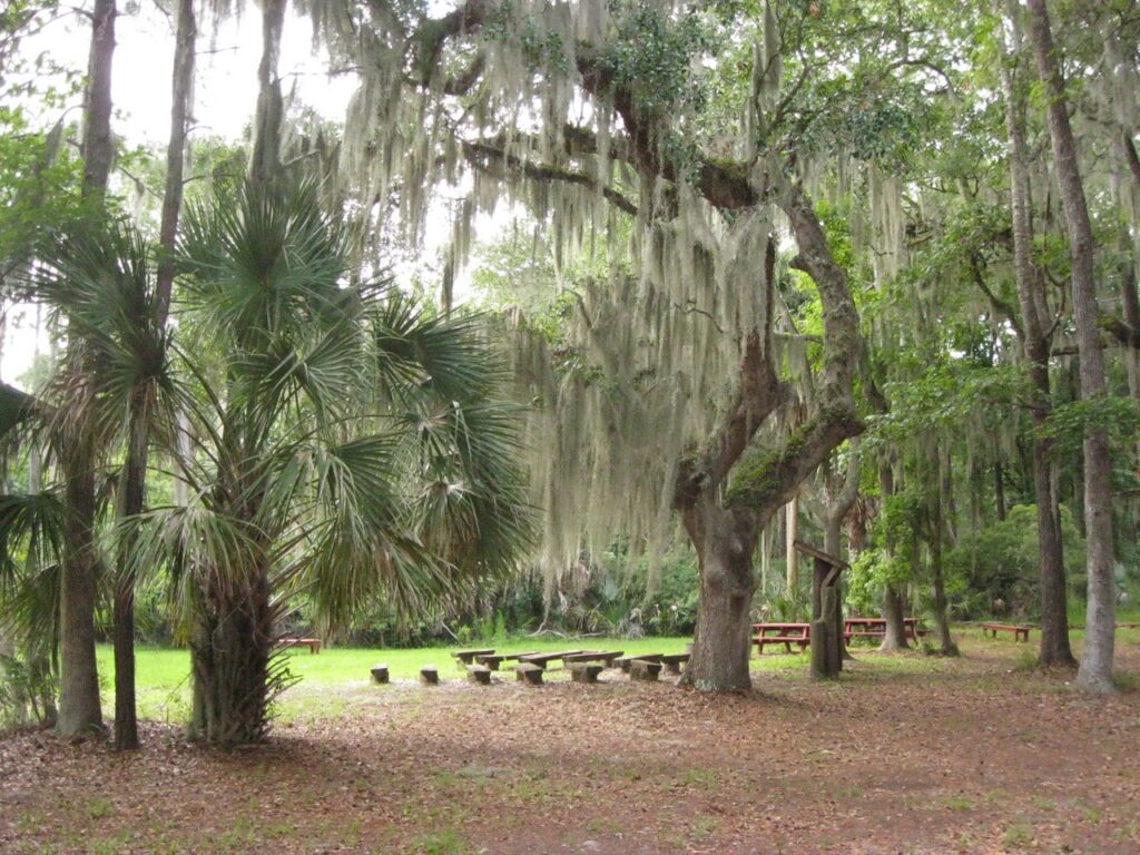 Skidaway Island State Park Photo Courtesy of Georgia State Parks and Historic Sites