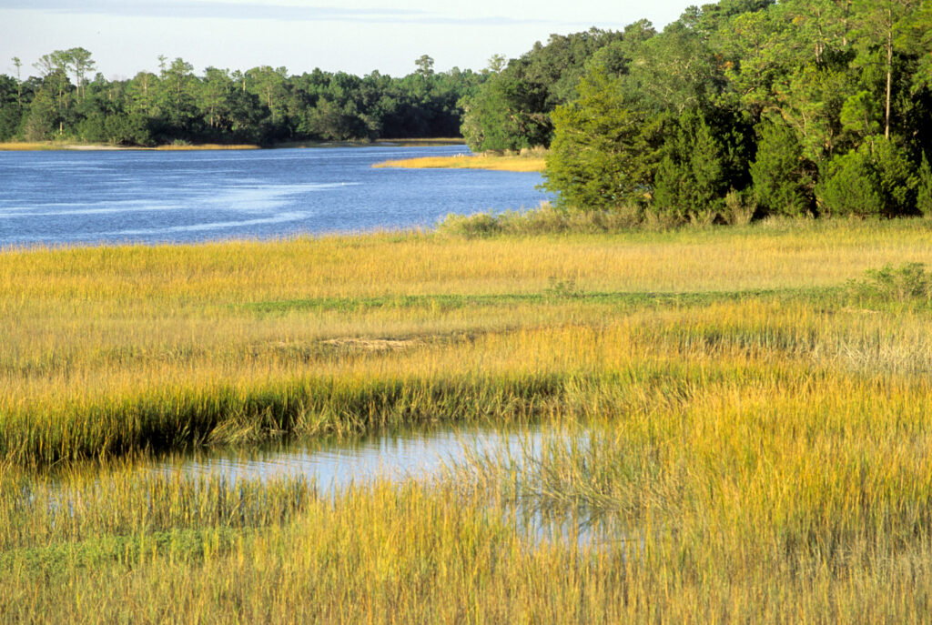 Skidaway Island State Park Photo Courtesy of Georgia State Parks and Historic Sites