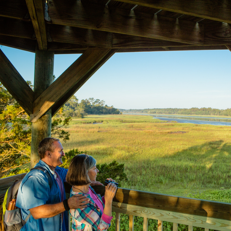 A couple birdwatches at an overlook at Skidaway