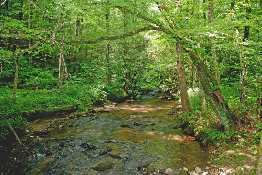 Smithgall Woods State Park Photo Courtesy of Georgia State Parks and Historic Sites