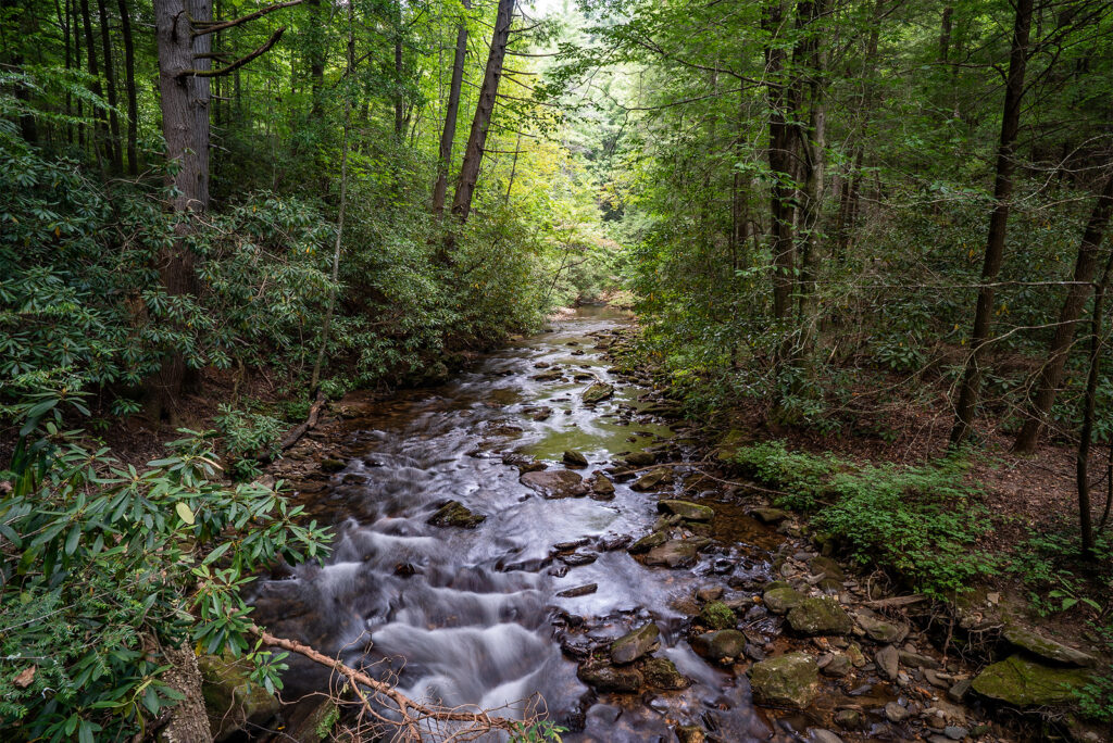 Smithgall Woods State Park Photo Courtesy of Georgia State Parks and Historic Sites
