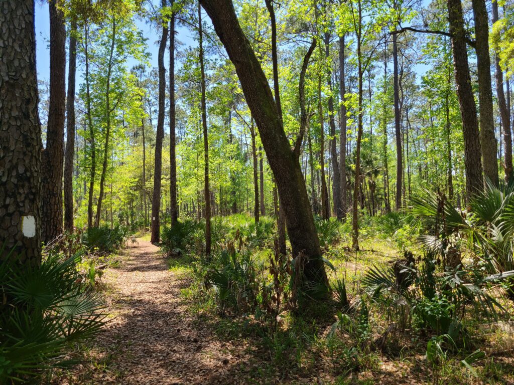 Stephen C. Foster State Park Adam Betuel