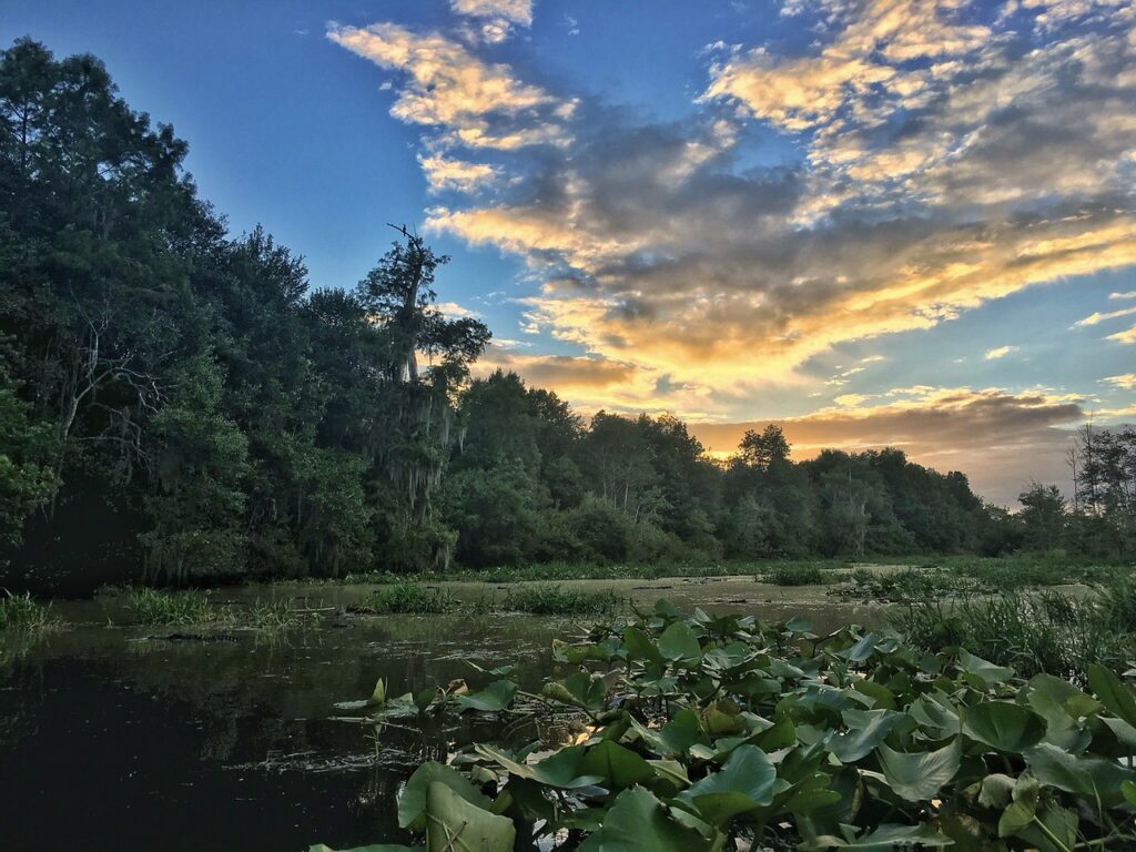 Stephen C. Foster State Park Photo Courtesy of Georgia State Parks and Historic Sites