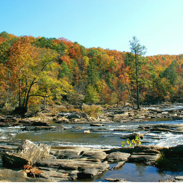 Sweetwater Creek and fall foliage