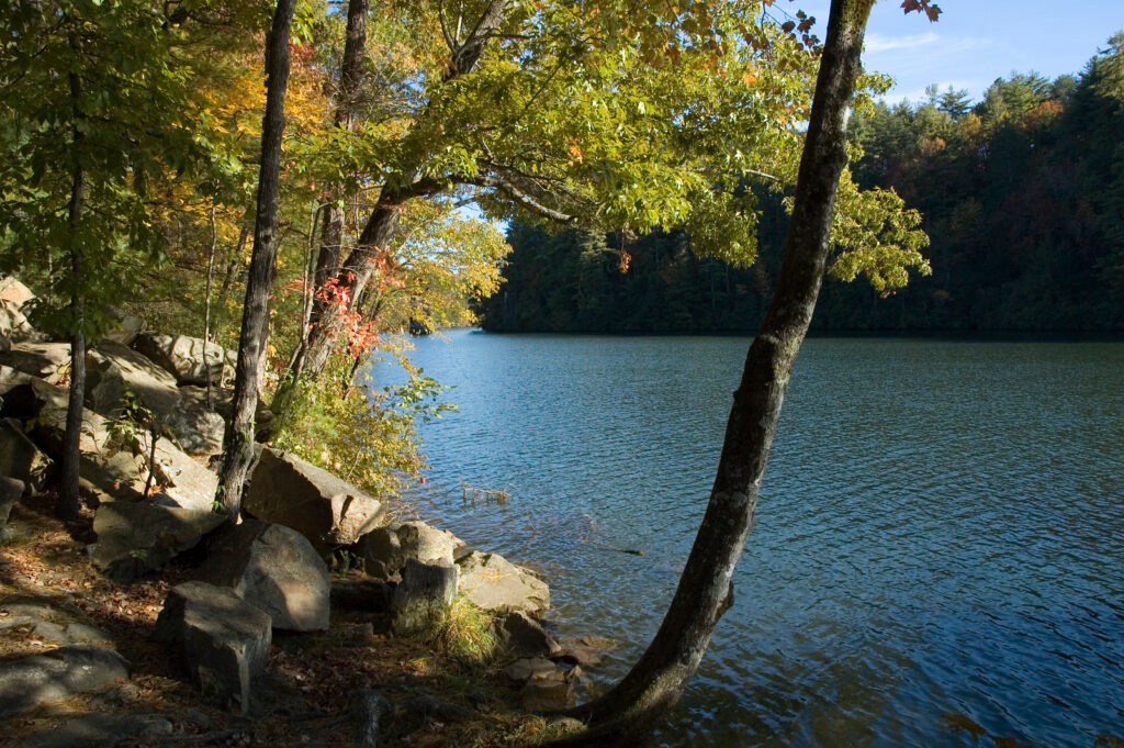 Tallulah Gorge State Park Photo Courtesy of Georgia State Parks and Historic Sites
