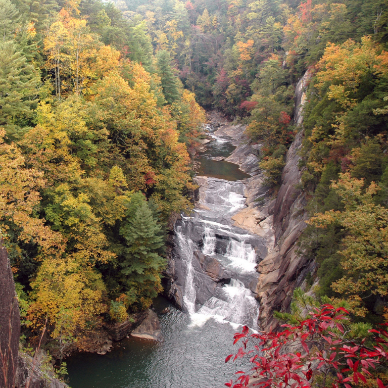 fall foliage and gorge at Tallulah Gorge