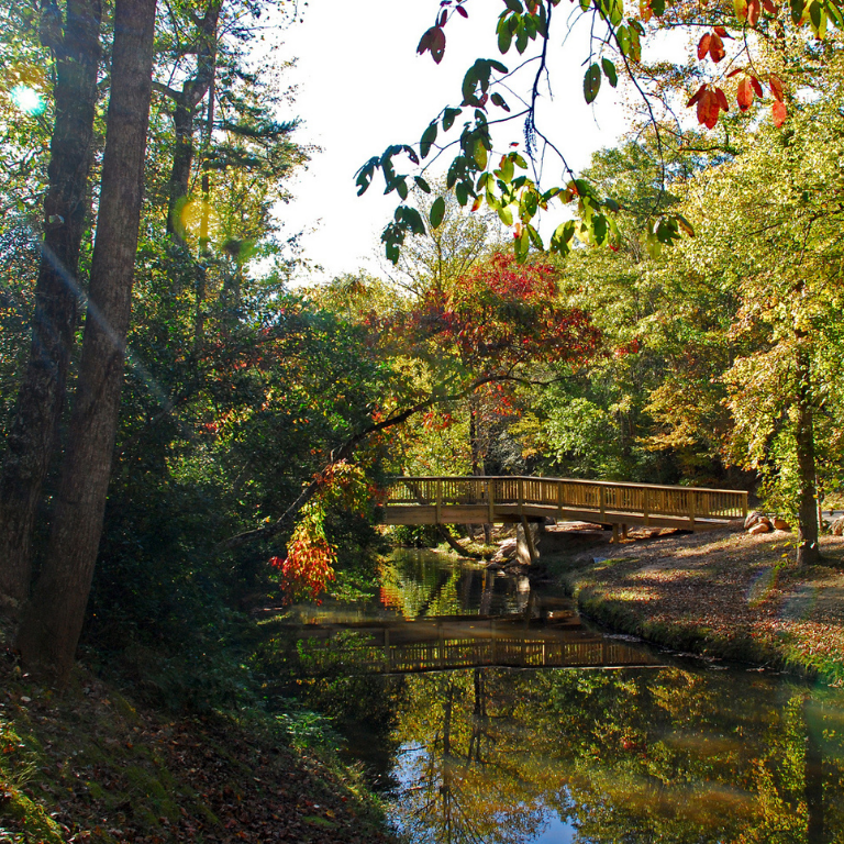 Victoria Bryant SP bridge and fall foliage by creek