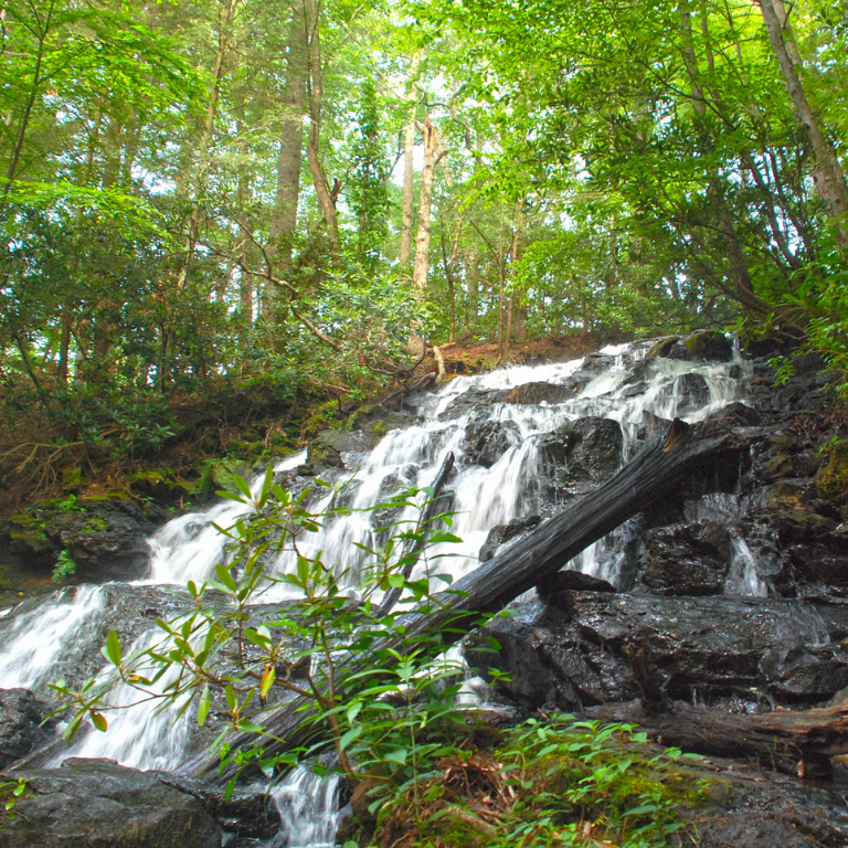 Rocky falls with forest at Vogel