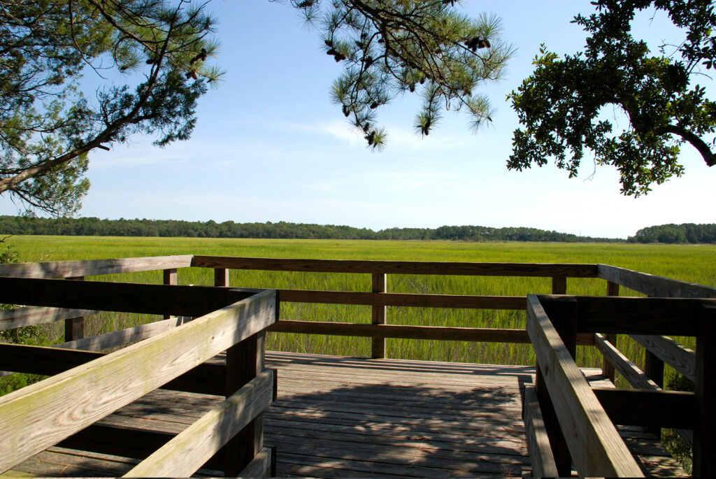 Wormsloe State Historic Site Photo Courtesy of Georgia State Parks and Historic Sites