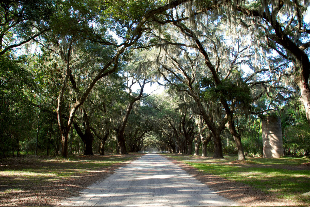 Wormsloe State Historic Site Photo Courtesy of Georgia State Parks and Historic Sites