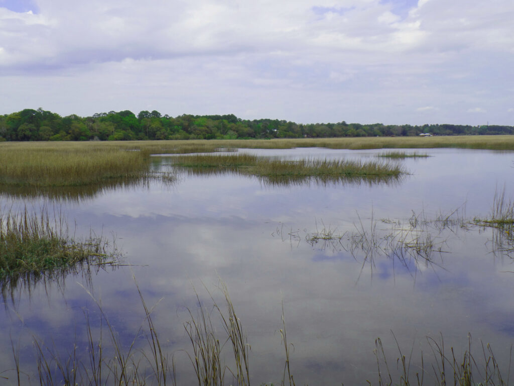 Wormsloe State Historic Site Photo Courtesy of Georgia State Parks and Historic Sites