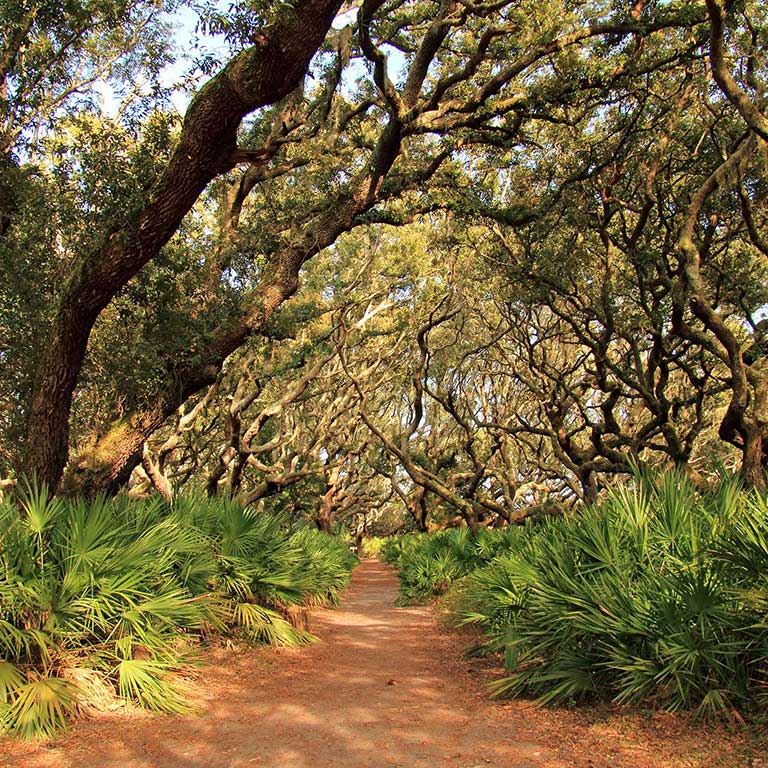 Cumberland island tn